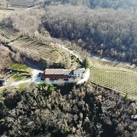 Bosco Romagno-2
